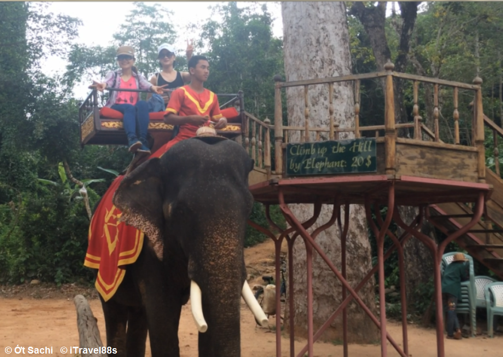 Cưỡi voi cũng là một trải nghiệm thú vị - Kinh nghiệm du lịch Campuchia tự túc từ A-Z