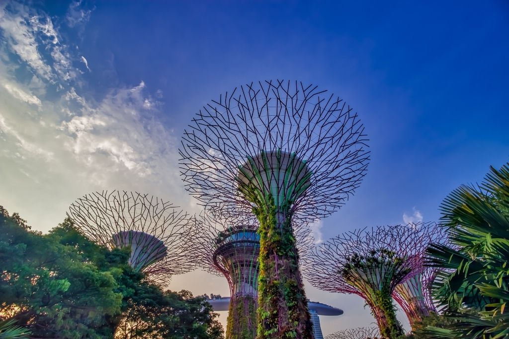 Garden by the bay, singapore